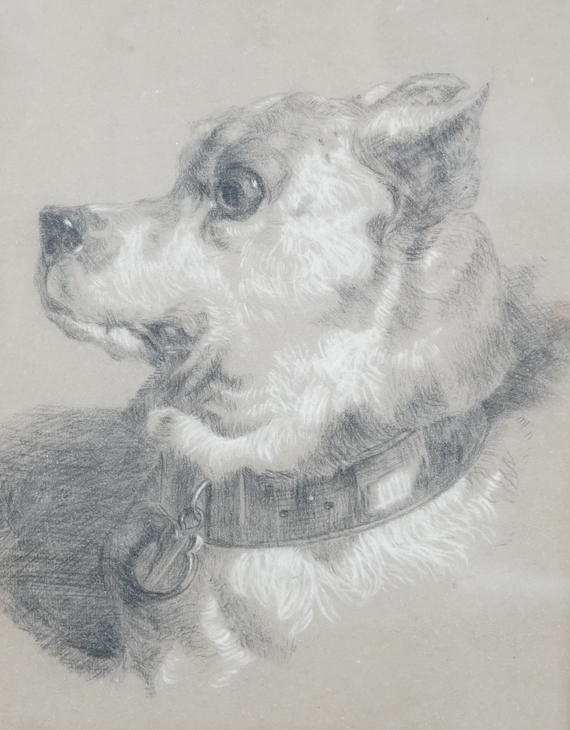 After Sir Edwin Henry Landseer RA (1802-1873), pencil, Study of a dog, ‘Alexander and Diogenes', Tate gallery, London letter verso, 27 x 19cm. Condition - fair